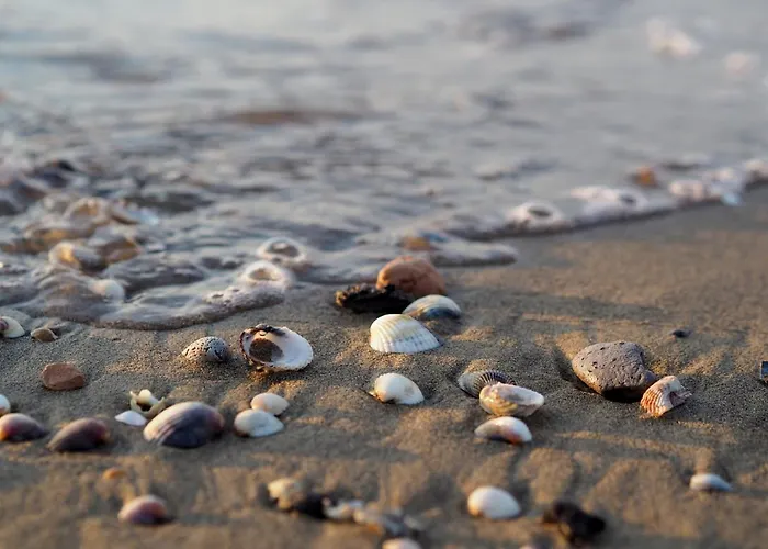 Apartment Charming Flat With Shared Pool - Beahost